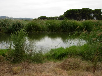 vallès oriental amb nens